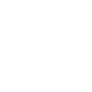 Speech bubble icon